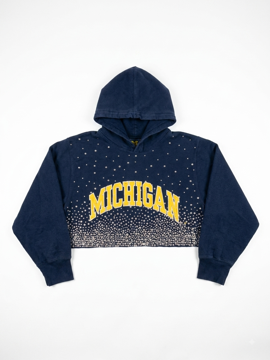 MICHIGAN CRYSTAL CROP HOODIE
