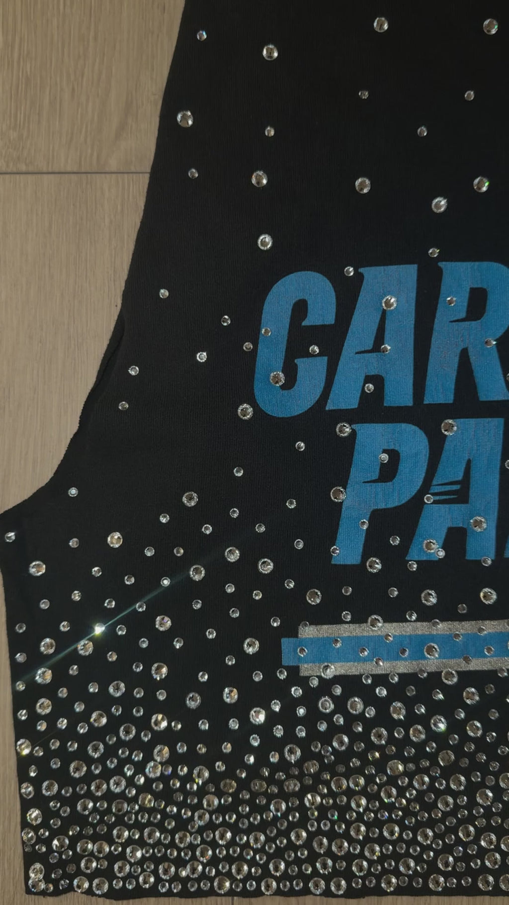 PANTHERS CRYSTAL TANK